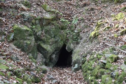 Stollenmundloch am bergbauhistorischen Lehrpfad Birkenberg bei Bollschweil-St. Ulrich Das Foto zeigt eine von bemoosten Felsen eingerahmte kleine Höhle. Die Öffnung liegt am unteren Ende eines Waldhanges.