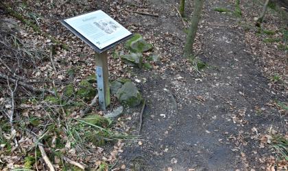 Bergbauhistorischer Lehrpfad Birkenberg bei Bollschweil-St. Ulrich – Köhlerplatz mit dunkel gefärbtem Boden Leicht abwärts gerichteter Blick auf dunkel gefärbten Waldboden. Links davon steht eine Schautafel, die verrät, dass sich hier einst ein Köhlerplatz befand.