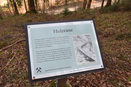 Infotafel am bergbauhistorischen Lehrpfad Birkenberg bei Bollschweil-St. Ulrich  Blick auf eine Schautafel am bergbauhistorischen Lehrpfad Birkenberg. Die Tafel steht vor einem zum Hintergrund hin abfallenden Waldhang und berichtet von Holzriesen, Gleitbahnen für geschlagene Baumstämme.