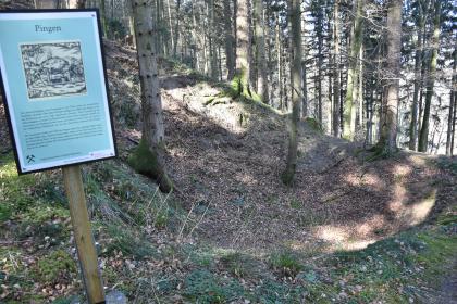 Die als Pingen bezeichneten großen Gruben im Waldgebiet entstanden durch den Zerfall der senkrecht in die Tiefe reichenden ehem. Abbauschächte. Umgeben sind sie oft von mächtigen Abraumhalden. Seitlicher Blick auf eine wannenartige Vertiefung an einem Waldhang. Links davon steht eine bebilderte Schautafel zum Thema Pingen.