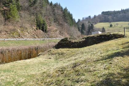 Unterhalb des Lehrpfads sind an der Möhlin Reste eines für die Flößerei errichteten Staudamms aus dem 18. Jh. erhalten. Blick auf einen nach links abfallenden Grashang und dahinter aufsteigendem Waldhang. Auf der Wiese liegt eine stark überwachsene, niedrige Steinmauer. Zwischen Grashang und Wald verläuft links unten eine tiefe Geländespalte.