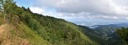 Glazial entstandene Steilwand auf der Nordostseite des Schauinslandgipfels Blick zu einem steil nach links aufragenden, teils bewaldeten Berghang. Links oben sind auf dem Steilhang Felsen zu erkennen. Rechts geht der Blick hinab auf bewaldete Berge und Taleinschnitte sowie eine weite, besiedelte Ebene.