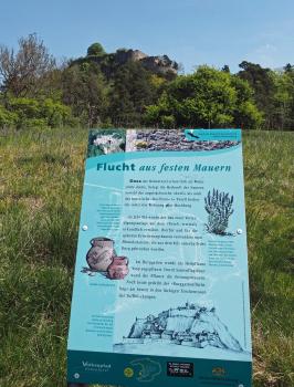 Vulkanpfad Hohentwiel – Infotafel zur Geschichte des Hohentwiels und zum Ysop als „Burggartenflüchtling“ Blick auf eine farbige, auf einem Wiesenhang stehende Informationstafel zur Burg Hohentwiel und zur Heilpflanze Ysop. Im Hintergrund ist die auf einem bewaldeten Berg sitzende Burg zu erkennen.