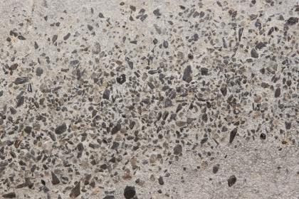 Bonebed, Unterkeuper, Vellberg-Eschenau Großaufnahme eines hellgrauen Gesteins, gesprenkelt mit kleinen dunkelgrauen Einschlüssen.