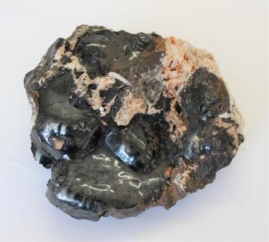 Glaskopf (Brauneisenerz) auf Baryt (weiß) vom Liebenecker Hang Das Bild zeigt ein rundes Gesteinsstück, das vergrößert fotografiert ist. Vorherrschende Farbe ist dunkelgrau, mit gelblichen Einschlüssen oben und rechts hinten. Das Gestein hat Ähnlichkeit mit einem Tierkopf, mit hellen Stellen als Augen.