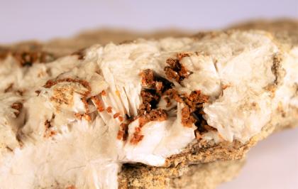 Siderit (braun) auf Baryt (weiß) aus dem Herrenwald-Gang Großaufnahme von weißem Baryt. In der Bildmitte sind kleine braune Kristallkörner zu erkennen, die an dem Gestein kleben.