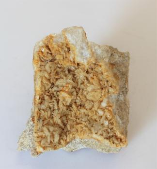 Nahaufnahme eines fast quadratischen Gesteinsstückes, mit hellgrauen Bruchkanten und zahlreichen gelblich weißen Kristallen im Innenteil.