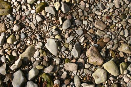 Junge Wutachschotter von der Kiesbank am Amselfelsen Nahaufnahme von Steinen in unterschiedlichen Größen, Farben und Formen.