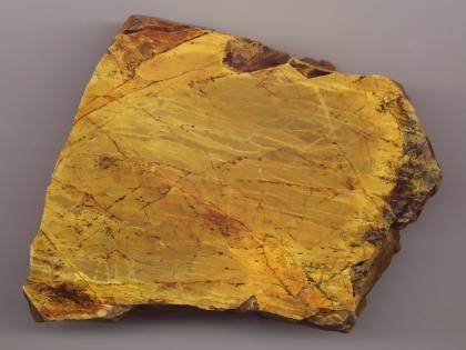 Kontaktmetamorph überprägtesTertiär aus Eichstetten Nahaufnahme eines fast quadratischen Gesteinsbrockens mit glatter Oberfläche und teils gezackten Rändern. Das Gestein ist goldfarben mit rötlich braunen Streifen und Flecken.