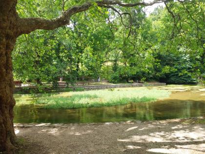 Blick auf den Aachtopf bei Aach Blick auf eine Wasserfläche mit Pflanzeninseln. Das hintere Ufer ist mit Sitzbänken und Bäumen gestaltet.