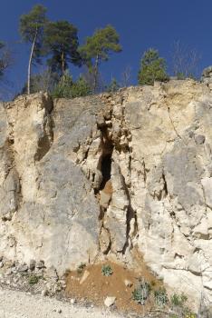 Teilweise mit Karstlehm verfüllte Kluft in der Liegende-Bankkalke-Formation (Schotterwerk Martin Baur, Sigmaringen-Jungnau) Blick auf eine hohe, oben mit Bäumen bewachsene hellgraue Steinbruchwand in einem Schotterwerk. In der Bildmitte ist eine senkrecht verlaufende, verfüllte Kluft im Gestein erkennbar.