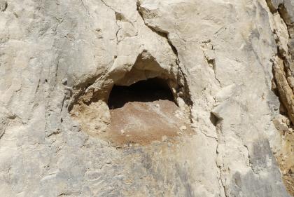 Lösungshohlraum in der Liegende-Bankkalke-Formation (Schotterwerk Martin Baur, Sigmaringen-Jungnau)