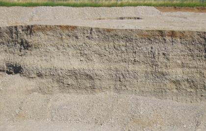 Neuenburg-Formation (qNE): Kiesgrube Märkt Blick auf die Wand einer Kiesgrube. Das helle, bräunlich graue Gestein ist im aufgeschlossenen Bereich streifig. Oben ist die Decke mit Hintergrundbewuchs, unten abgerutsches Material zu sehen.