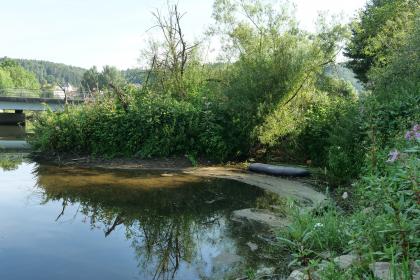 Versickerungsbereich der Donau bei Immendingen im Bereich der Bahnbrücke Blick auf eine Flussbiegung. Das sichtbare rechte Ufer ist stark bewachsen. Links im Hintergrund ist eine Brücke zu sehen.