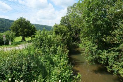 Die Elta südlich von Wurmlingen Blick auf einen schmalen, auf der rechten Bildseite zum Betrachter fließenden Fluss. Das Ufer rechts ist von hohen Bäumen gesäumt. Links wachsen Büsche und Sträucher. Das Gewässer hat eine braungrüne Farbe.