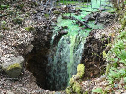 Übertritt des mit Uranin markierten Wassers in einen Erdfall Das Bild zeigt einen von rechts oben kommenden Bachlauf, dessen grün eingefärbtes Wasser in eine sich im Vordergrund öffnende Erdspalte fällt.