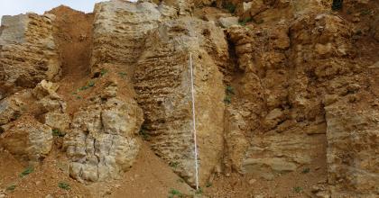 Durch Karstprozesse verändertes Karbonatgestein, Aufschluss bei Böhmenkirch Das Bild zeigt eine ockerfarbene, gelb-braune Steinwand. Die Oberfläche der Wand ist sehr unregelmäßig und im Gestein sind verschiedene Strukturen zu erkennen, wie zum Beispiel aufgeweitete Klüfte, Schlote oder Lösungsspuren.