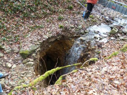Durch einen Erdfall entstandener Ponor (Bachschwinde) im Rammisbächle zwischen Müllheim-Niederweiler und Badenweiler-Lipburg, Lkr. Breisgau-Hochschwarzwald Das Bild zeigt ein Loch im von Laub bedeckten Erdboden. Die Tiefe des Lochs ist nicht zu erkennen. Von der rechten Seite fließt Wasser heran und stürzt in das Loch.