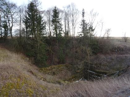 Doline östlich von Bartholomä, Ostalbkreis, Östliche Schwäbische Alb Blick auf eine sich nach rechts öffnende größere Bodenvertiefung am Rande einer Wiese. Die Doline ist mit Bäumen und Sträuchern bewachsen.