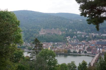 Blick vom Philosophenweg über den Neckar auf die Altstadt von Heidelberg Über Baumspitzen hinweg blickt man auf den Neckar und die Altstadt von Heidelberg mit Bogenbrücke rechts unten und Schlossruine in der Bildmitte.