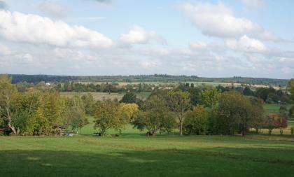Welliges, lösslehmbedecktes Hügelland bei Karlsbad-Langensteinbach, im Übergang vom Buntsandstein-Schwarzwald zum Pfinzgau Blick auf welliges Hügelland mit Wiesen, Bäumen und einzelnen Ackerflächen. Im Hintergrund ist ein höherliegender Waldstreifen zu erkennen.