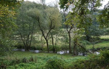 Das Bild zeigt eine grüne Talaue. Im Vordergrund ist ein schmaler Wasserlauf erkennbar. Das Ufer wird von Bäumen gesäumt. Im Hintergrund ist angrenzender Wald sichtbar.