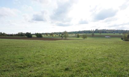 Flachhügelige, örtlich von Lösslehm bedeckte Hochfläche im Oberen Buntsandstein bei Karlsbad Spielberg Blick auf eine flache, grüne Hochfläche mit schmalen, links und im Hintergrund verteilten Äckern. Die Wiesen werden hinten von Waldstreifen begrenzt.