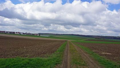 Blick nach Westen über die flachwellige Albhochfläche bei Oberiffingen, im Bereich der Bunten Brekzie Über zwei dunkelbraune, durch einen Fahrweg getrennte Äcker im Vordergrund geht der Blick über welliges Gelände mit grünen Hügeln und Wiesen. Im Hintergrund finden sich rechts langgestreckte bewaldete Bergrücken und links eine Siedlung.