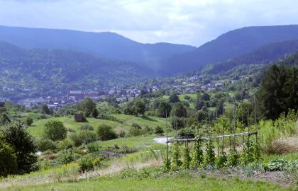 Blick ins Murgtal bei Forbach Blick auf eine Ortschaft, die zwischen bewaldeten Bergen im Hintergrund und hügeligen, teils bepflanzten Wiesen im Vordergrund liegt.