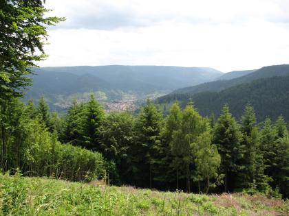Das Bild zeigt bewaldete Hänge und Hochflächen. Im Tal in der Bildmitte liegen mehrere Siedlungen.
