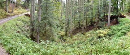 Schmales kerbförmiges Seitentälchen der Nagold südwestlich von Ebhausen-Ebershardt Blick in ein schmales Kerbtal. Die Hänge sind mit Sträuchern und hohen Bäumen bewachsen. Um das Kerbtal herum läuft ein Weg. Links und rechts oben sind weitere Waldhänge erkennbar.