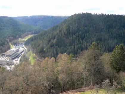 Blick aus großer Höhe über Bäume und bewaldete Berge. Links liegt ein schmales Tal mit Industriebauten.