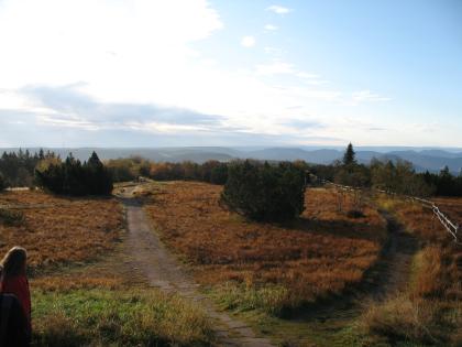 Blick vom Schliffkopf Das Bild zeigt ein hochgelegenes Plateau mit Waldbegrenzung und rötlich braunem Grasbewuchs. Ein Wanderweg durchzieht das Plateau. Im Hintergrund sind in der Ferne bewaldete Höhen zu erkennen.