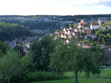 Das windungsreiche obere Nagoldtal bei Altensteig Blick von erhöhtem Standort über Obstbäume, die an einem steilen Hang wachsen. Im Mittelgrund ist ein nach rechts ansteigender Berg zu sehen, auf dem zahlreiche Häuser sowie eine Kirche stehen. Im Hintergrund eine ebenfalls besiedelte Hochfläche.