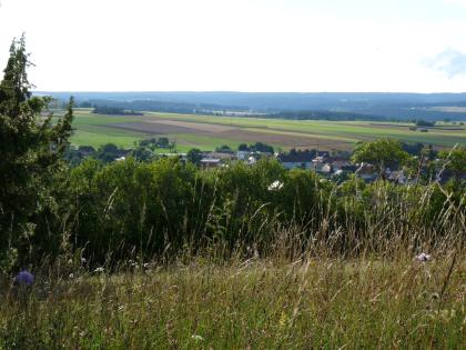 Blick vom Kapf über Egenhausen nach Westen zu den Buntsandstein-Randplatten Blick über eine hochgelegene Wiese und Bäume auf eine leicht nach rechts abfallende Hochfläche mit Ackerstreifen und Wiesen. Auch eine von Bäumen halb verdeckte Siedlung ist erkennbar. Im Hintergrund verläuft eine Linie von flachen, bewaldeten Bergen.