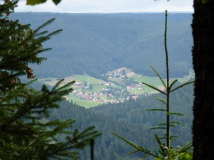 Blick über das obere Murgtal bei Baiersbronn-Mitteltal nach Norden Aus großer Höhe, zwischen Nadelbäumen hindurch, ist ein von bewaldeten Bergen umrahmtes, trapezförmiges Tal zu sehen. Im Tal gruppieren sich etliche, verstreut liegende Häuser um Äcker- und Wiesenflächen.