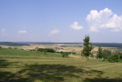 Blick vom Nordrand des Landgerichts nach Nordwesten über vorgelagerte Hügel in der Unteren Süßwassermolasse zur ansteigenden Mittleren Flächenalb Blick über einen flachen, leicht nach rechts abfallende Wiesenhang mit einzelnen Bäumen auf eine weite, landwirtschaftlich genutzte Ebene. Die links besiedelte Ebene wird von Waldflächen eingerahmt.