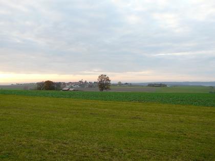 Hügelland in der Unteren Süßwassermolasse bei Allmendingen-Weilersteußlingen – Blick nach Südosten Gezeigt werden hier leicht hügelige Wiesen und Äcker, die von links nach rechts verlaufen. Zum Hintergrund hin ist links eine Siedlung erkennbar, davor einzelne Bäume.