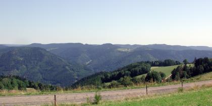 Waldlandschaft des Mittleren Schwarzwalds nordwestlich von Schiltach Hinter einem im Vordergrund verlaufenden Fahrweg stürzt die Landschaft steil in die Tiefe. Nur teils bewaldete Bergkuppen sind noch sichtbar. Dahinter reihen sich bewaldete Bergketten mit einzelnen Hochflächen aneinander.