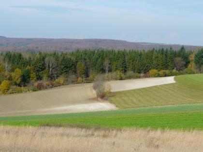 Auf dem Landgericht nordöstlich von Ehingen-Mundingen – Blick nach Norden zur Mittleren Alb Blick in eine dreieckig geformte Mulde mit hellen Ackerflächen und Wiesen. Am hinteren Rand der Äcker steht Wald. Links dahinter verläuft ein bewaldeter Bergrücken.