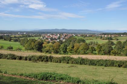 Blick von der Hochburg über das lössbedeckte Muschelkalkgebiet bei Emmendingen-Windenreute nach Westen zum Kaiserstuhl Blick von erhöhtem Standort über flache, abwärts fließende Hänge mit Wiesen und Äckern. Dazwischen liegen Hecken- und Baumstreifen. Im Hintergrund Ortschaften sowie ein langgestreckter, bewaldeter Berg.