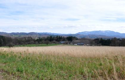 Hochfläche im Unteren Muschelkalk beim Huttenhof nördlich von Emmendingen Blick über eine Wiese mit hohem, teils bräunlichem Gras auf eine tieferliegende Grünfläche mit Bäumen, Wald und Hofgebäuden. Im Hintergrund sind teils bewaldete Hügel, rechts auch ein höherer Berg zu sehen.