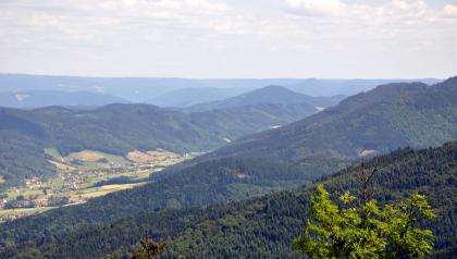 Blick über das Elztal bei Unterprechtal nach Nordosten in den Mittleren Schwarzwald Blick aus großer Höhe auf nach rechts aufsteigende, langgezogene bewaldete Berge. Links ist ein Tal mit verstreuten Siedlungen und freien Ackerflächen zu erkennen. Dahinter steigen weitere Bergketten auf, die bis zum Horizont reichen.