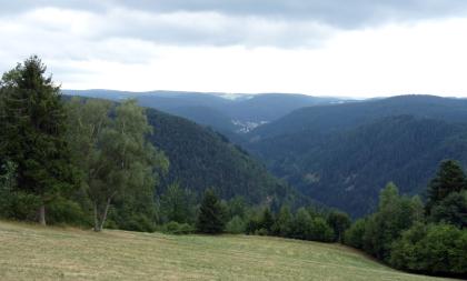 Das Gutachtal bei Triberg Blick über eine nach rechts abfallende Bergwiese auf hohe, links und rechts eines schmalen Tales aufsteigende bewaldete Berge. Im Hintergrund ist zwischen den Bergkuppen eine grüne Hochebene zu erkennen.