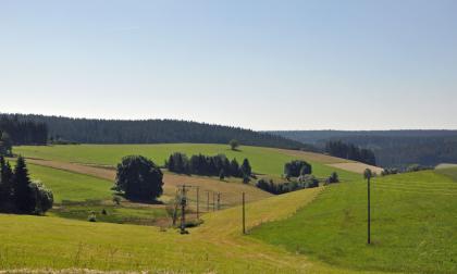Vernässte Talanfangsmulde nördlich von Oberkirnach, am Ostrand des Mittleren Schwarzwalds Blick über nach links und rechts aufsteigende Bergwiesen mit dazwischenliegender, bräunlich gefärbter Mulde. Die Wiesen sind teilweise von Äckern unterbrochen und mit Bäumen bestanden. Die Kuppe der linksseitigen Bergwiese ist bewaldet.