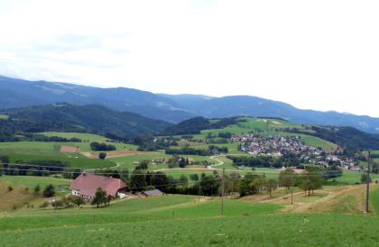 Blick über St. Peter und das Dreisamtal hinweg nach Südwesten zum Schauinsland Blick über eine hochgelegene, rechts bräunlich verfärbte Wiese. Links steht ein Gehöft. Zum Hintergrund hin erheben sich teils bewaldete, teils von Wiesen und Äckern durchzogene Berge. Rechts, am Hang eines solchen Berges, liegt eine Ortschaft.