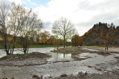 Die Dreisam östlich von Freiburg Blick auf einen Fluss mit rechts ausuferndem Verlauf. In der Flussmitte liegen mehrere Inseln aus Kies und Erde, die mit Bäumen bestanden sind.