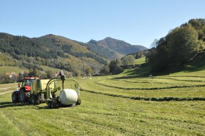 Grünlandwirtschaft am Talausgang des Zastlertals bei Oberried Das Bild zeigt gemähte Wiesen an einem Talausgang. Links steigen bewaldete Berge auf, rechts schließt ein bewaldetes Plateau an die Wiesen. Im Vordergrund links steht ein Traktor mit Heuballenanhänger.