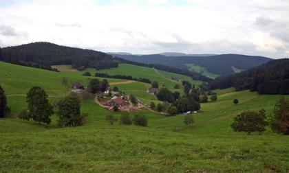 Breitnau-Siedelbach in einem Seitental des Jostals Blick über die Kuppe einer Wiese hinab in ein hügeliges, wannenförmiges Tal mit Wiesen, einzelnen Äckern, Gehöften und Waldinseln. Im Hintergrund erscheinen bewaldete Bergrücken.