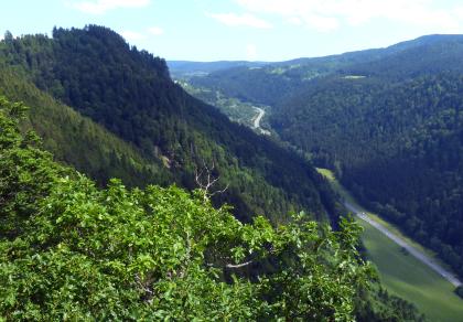 Blick in den engen Taleinschnitt des Höllentals Blick aus großer Höhe über belaubte Zweige auf einen steil nach links aufragenden bewaldeten Berghang. Auch nach rechts steigen Berghänge auf. Dazwischen liegt ein schmales Tal mit einer Straße.